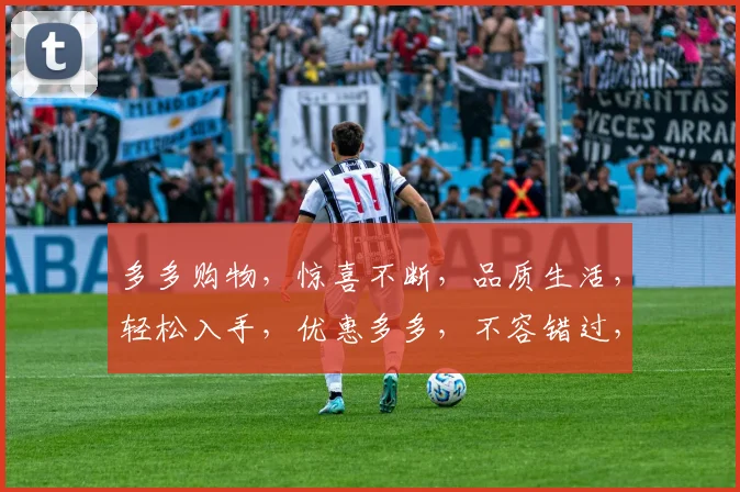 多多购物，惊喜不断，品质生活，轻松入手，优惠多多，不容错过，抢购从速，尽享实惠