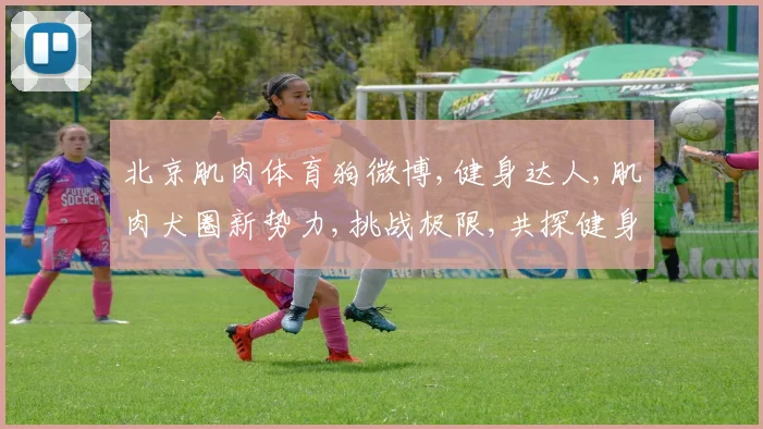 北京肌肉体育狗微博,健身达人,肌肉犬圈新势力,挑战极限,共探健身奥秘,♂