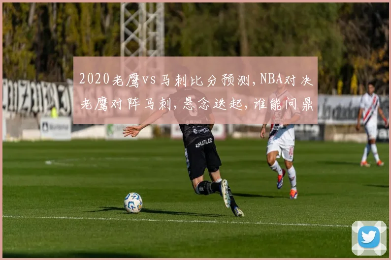 2020老鹰vs马刺比分预测,NBA对决老鹰对阵马刺,悬念迭起,谁能问鼎